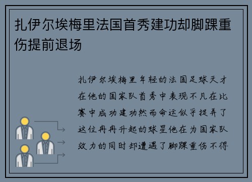 扎伊尔埃梅里法国首秀建功却脚踝重伤提前退场 扎伊尔埃梅里法国首秀建功却脚踝重伤提前退场